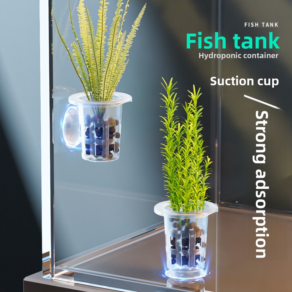 Aquarium Plants Live - 10 Stück Transparente Hydrokultur-Pflanzentöpfe aus Kunststoff