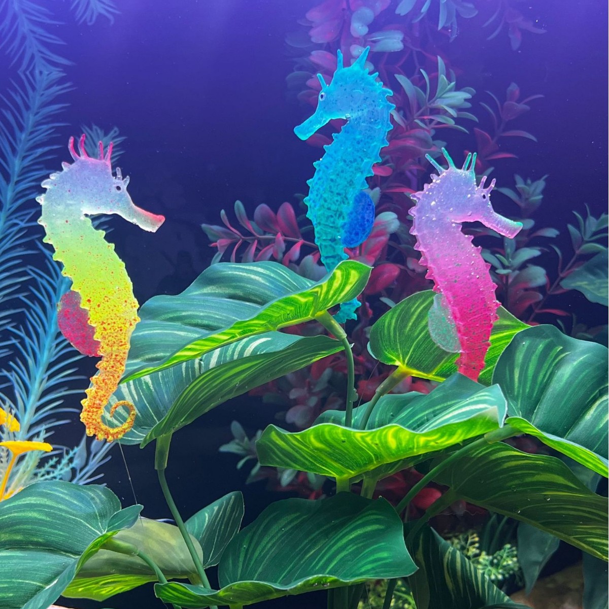 Aquarium Plant Substrate - Simulierte Leuchtende Seepferdchen-Aquariumdekoration, Künstliche Fischornamente, Meeresboden-Dekoration