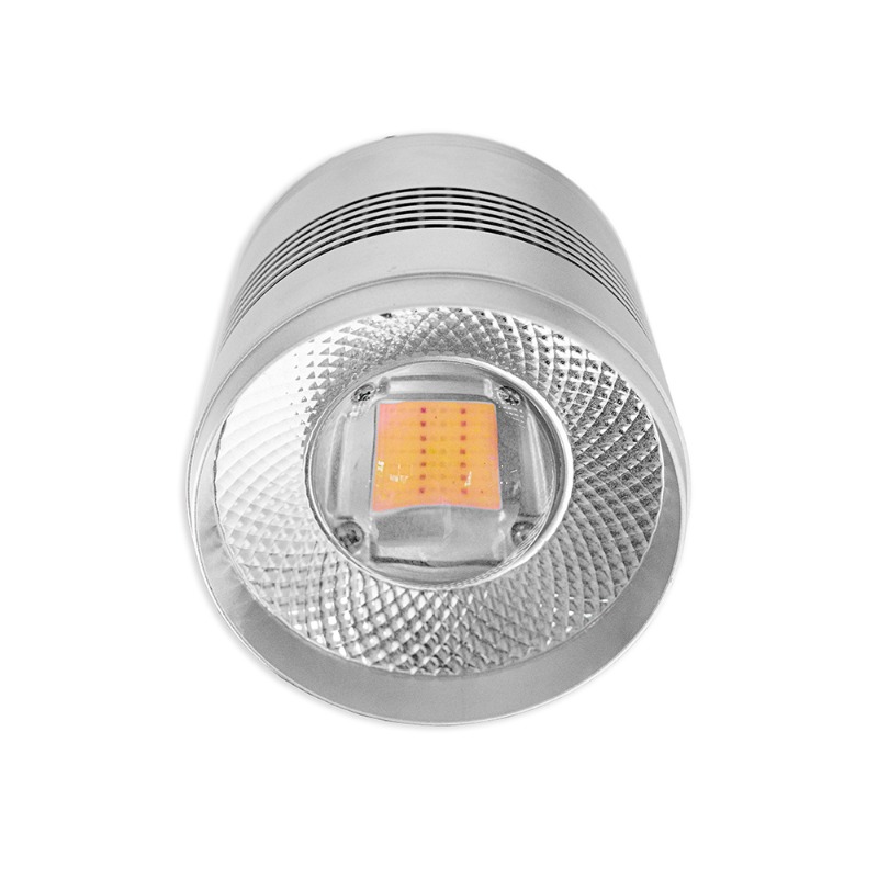 Planted Aquarium Algae Control - 70W LED-Aquariumbeleuchtung für Süßwasser-Pflanzenbecken mit Vollspektrum,