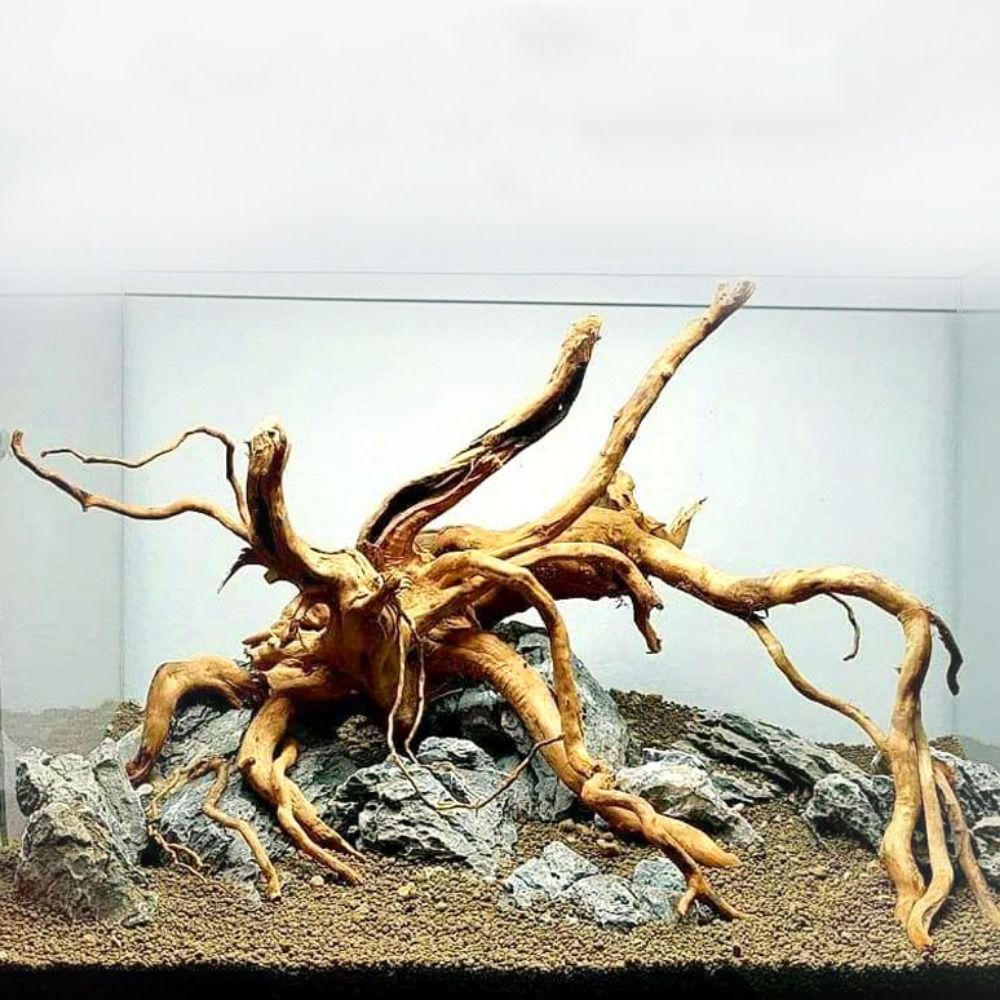 Aquarium Plant Substrate - 20-25CM Großes Aquarium-Treibholz, Natürliche Fischbecken-Pflanzendekoration, Baumstumpf