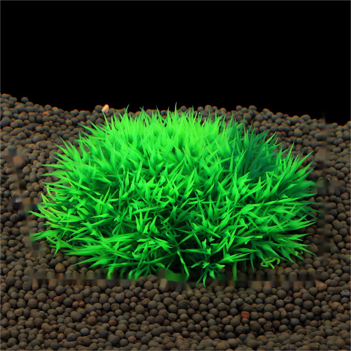 Künstliches Wasserpflanzen-Dek – Aquarium Plants Live Bewertung und Preis