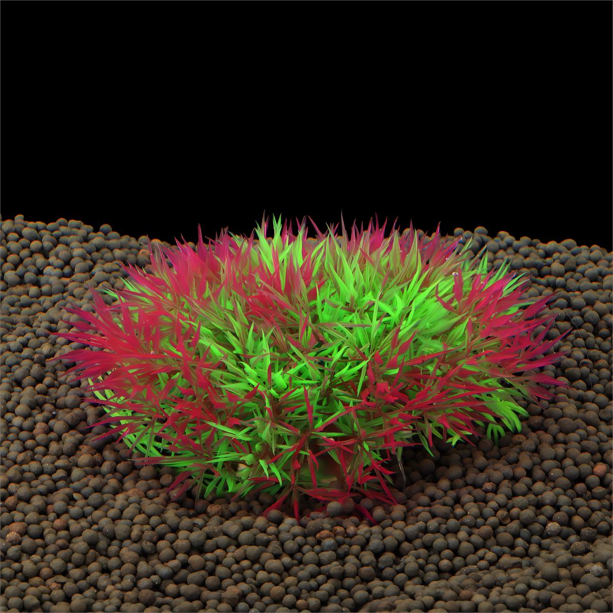 Künstliches Wasserpflanzen-Dek – Aquarium Plants Live Bewertung und Preis