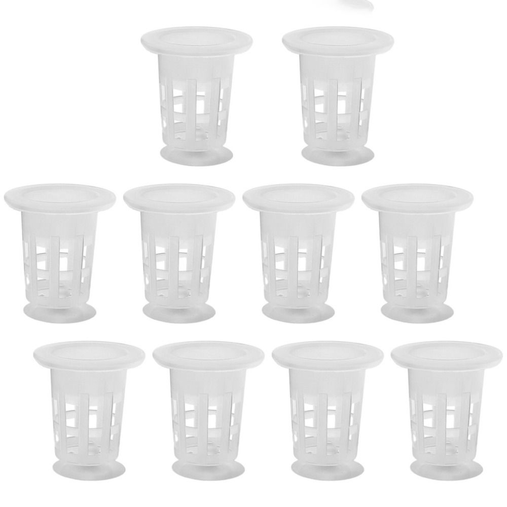 10 Stück Transparente Hydrokul – Aquarium Plants Live Bewertung und Preis