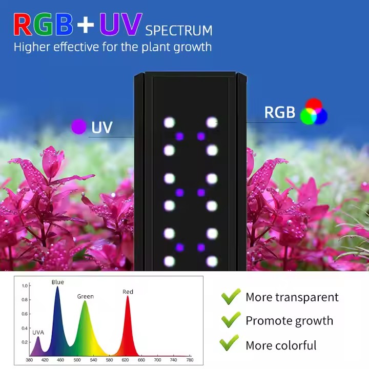 WEEK AQUA S Serie RGB+UV Volls – Live Plant Aquarium Bewertung und Preis
