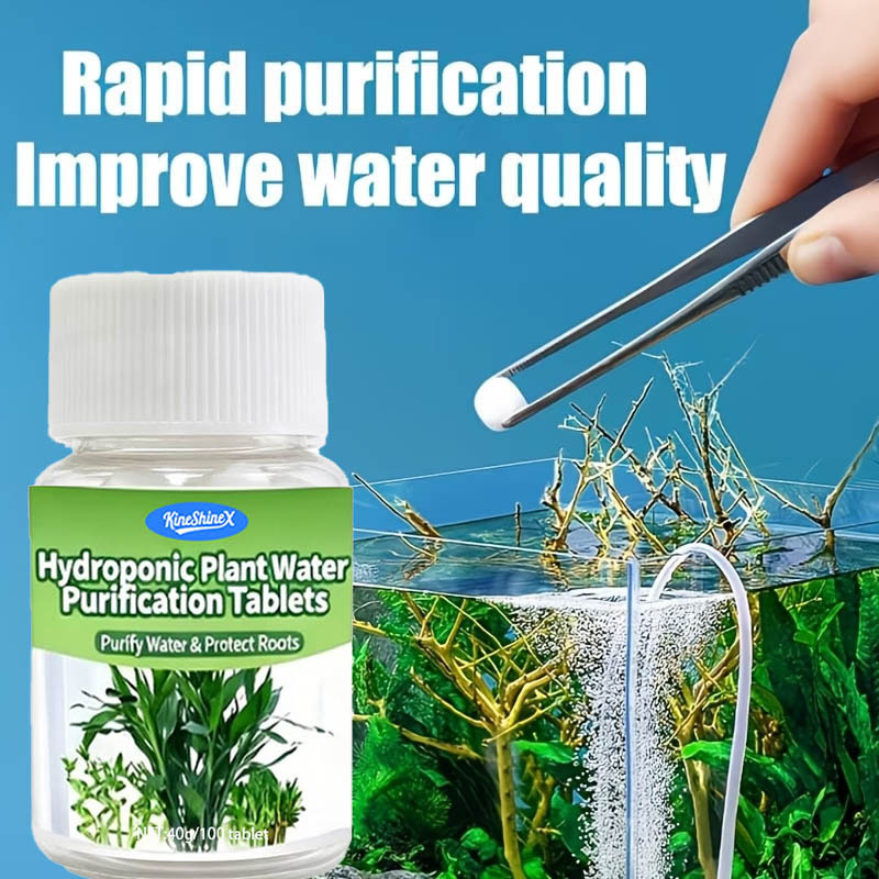 Hydroponische Wasserreinigungs – Plant Aquarium Pot Bewertung und Preis