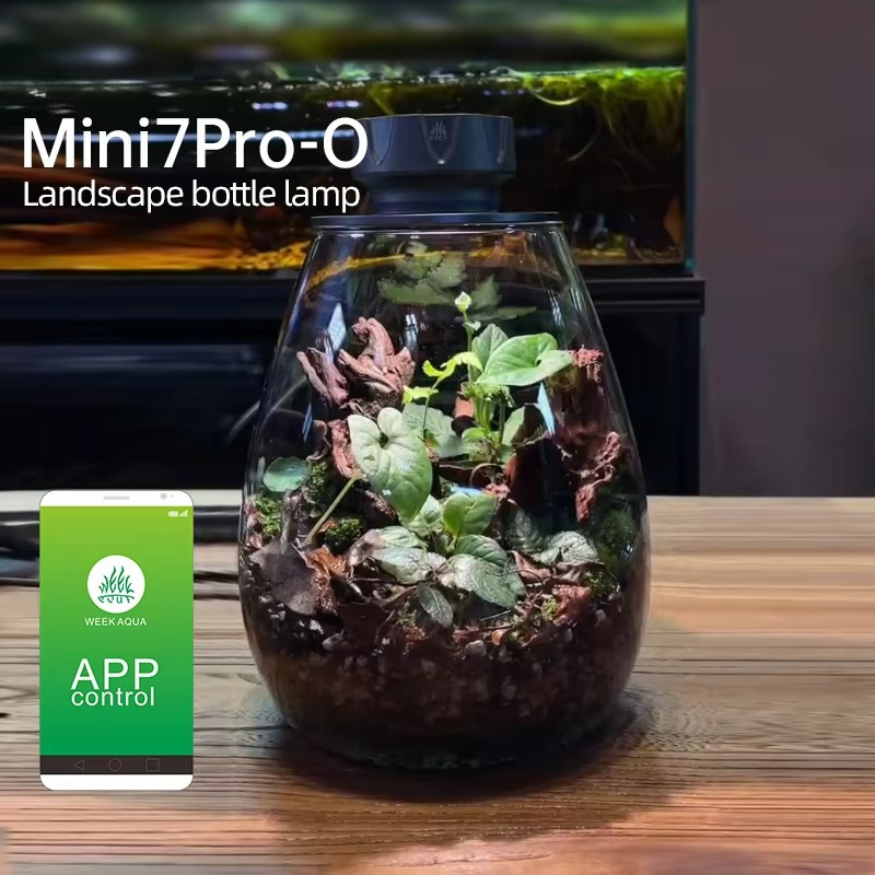 COB Microlandscape Pflanze Fül – Planted Tank Bewertung und Preis