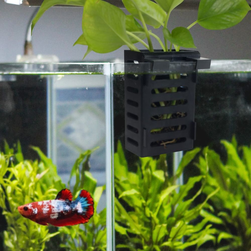 Aquarium-Pflanzenhalter mit Ha – Aquarium Plant Holder Bewertung und Preis