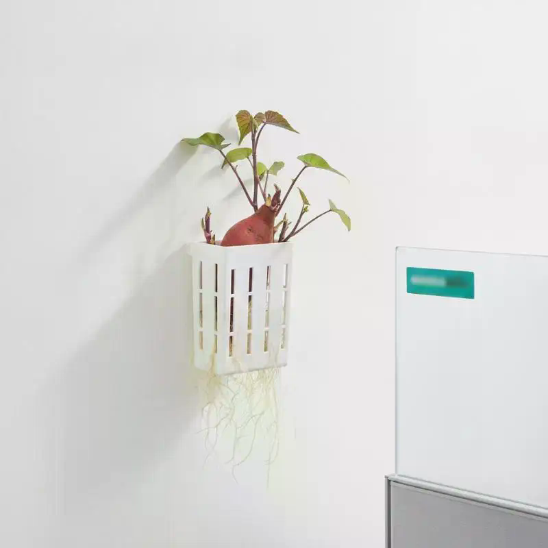 1 Stück Hydroponischer Stützko – Plant Aquarium Pot Bewertung und Preis