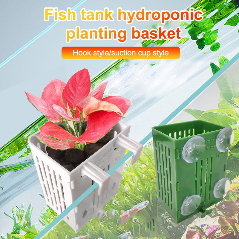 Hängende Saugnapf Haken Aquari – Plant Aquarium Pot Bewertung und Preis