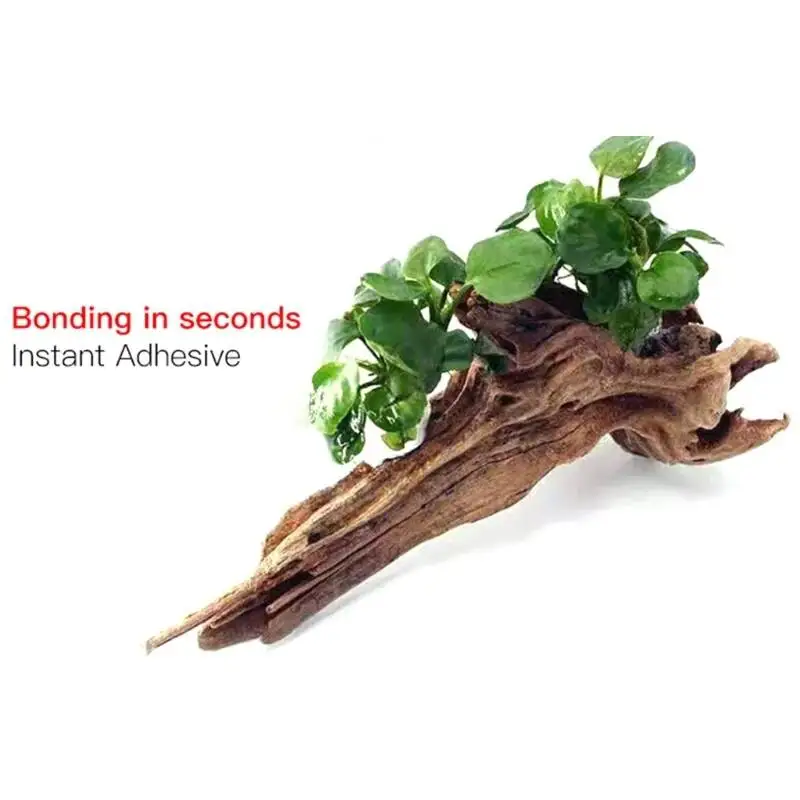 2 Stück 5 Stück /3/ Moos-Klebs – Aquarium Moss Bewertung und Preis