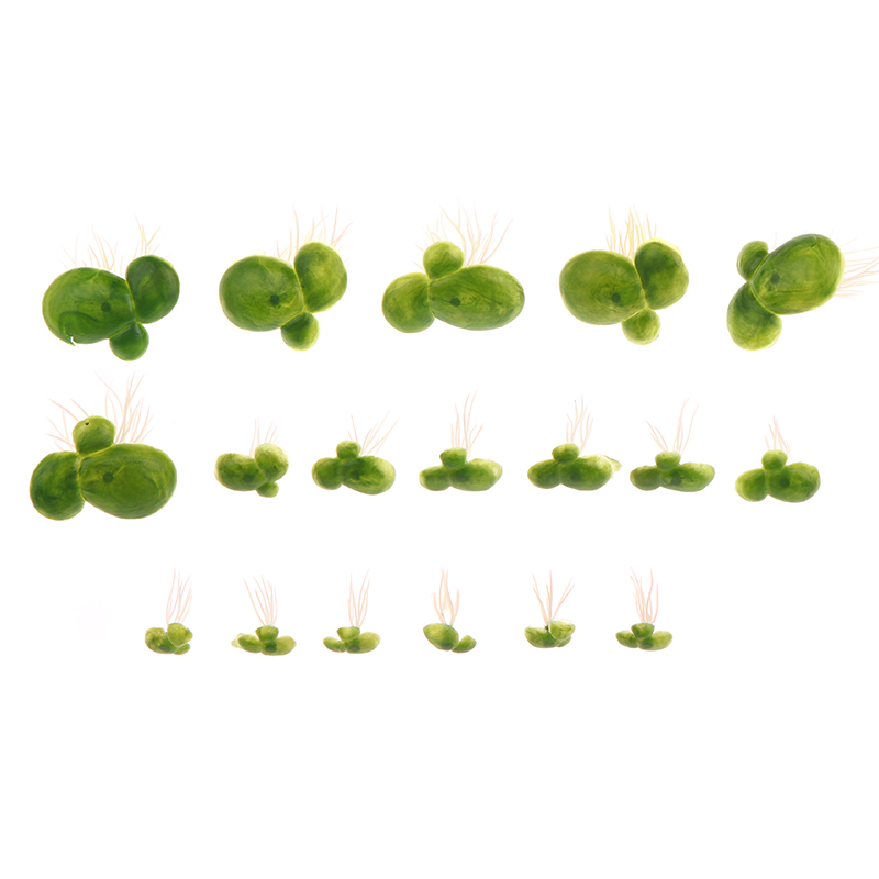18 teile/satz Aquarium Aquariu – Aquarium Plants Live Bewertung und Preis