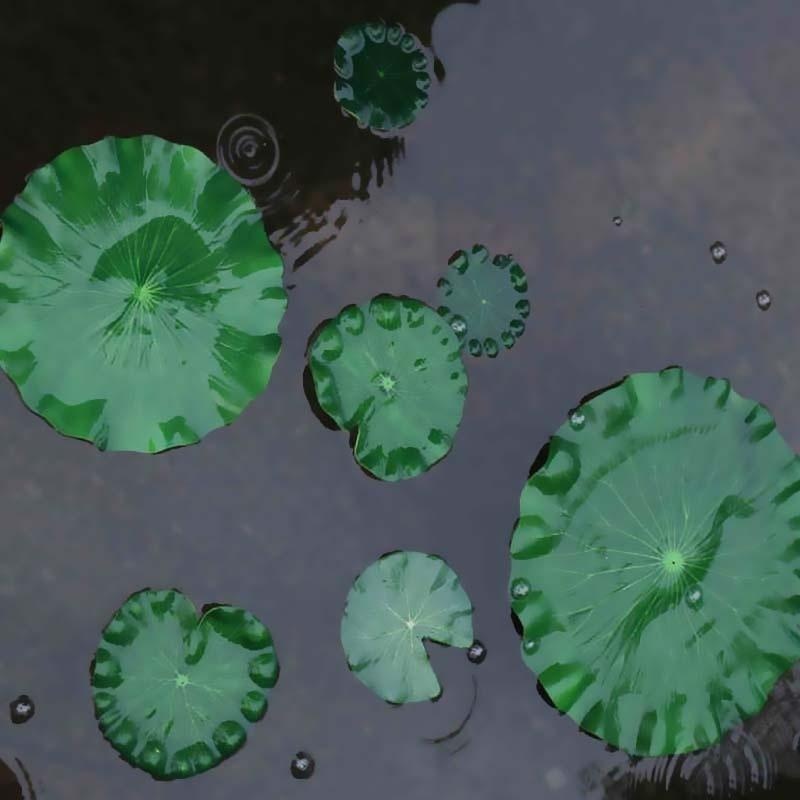 2026 Künstliche Wasserlilien-L – Aquarium Plant Substrate Bewertung und Preis