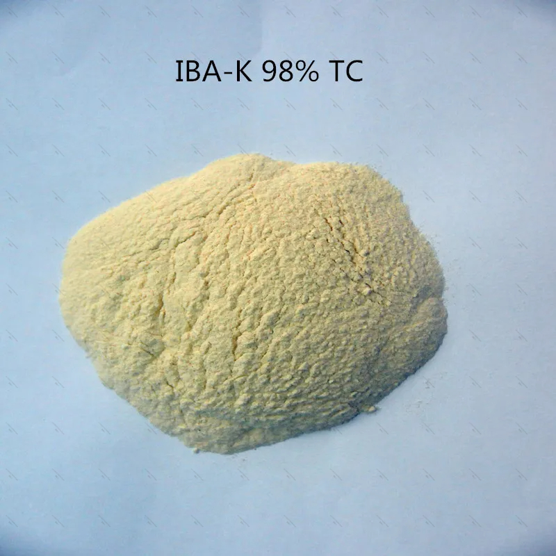 10 Gramm-1 kg 98 % IBA-K wasse – Aquarium Fertilizer Bewertung und Preis