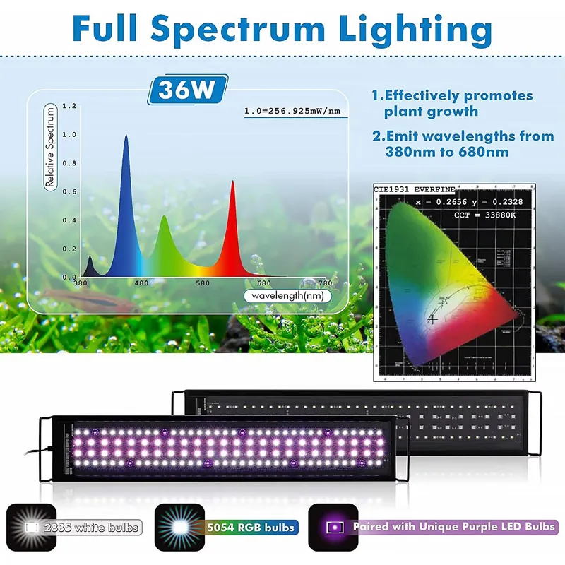 SIROKA 75cm Professionelle LED – Live Plant Aquarium Bewertung und Preis