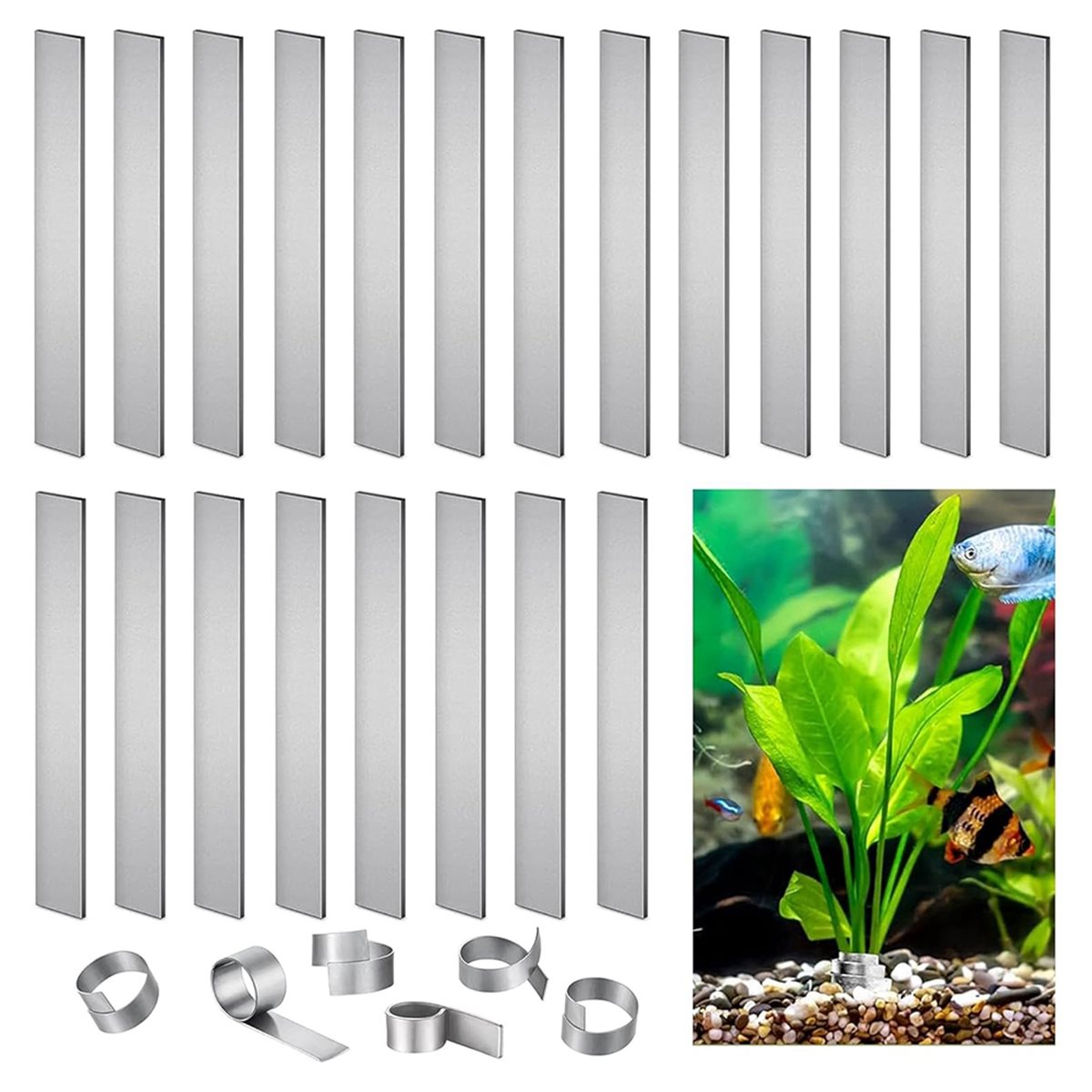 Zeitsparende Aquarienpflanzeng – Live Plant Aquarium Bewertung und Preis