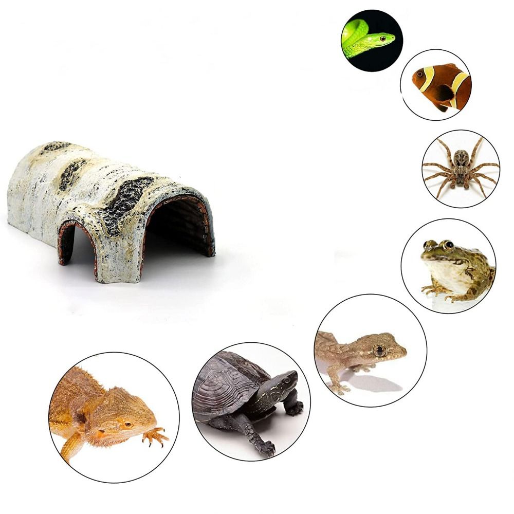 Künstliche, kreative, lebensec – Aquarium Plant Holder Bewertung und Preis