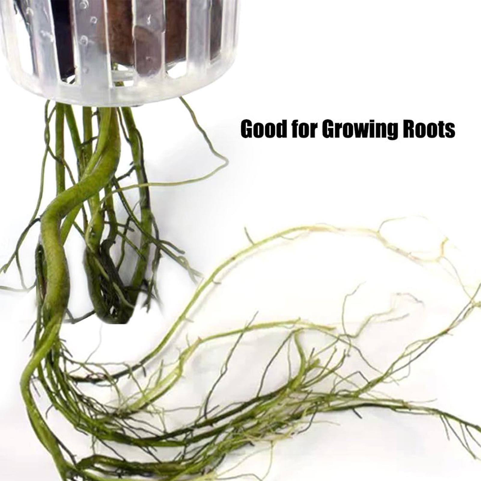 2 Stück hängbare Aquarienpflan – Plant Aquarium Pot Bewertung und Preis
