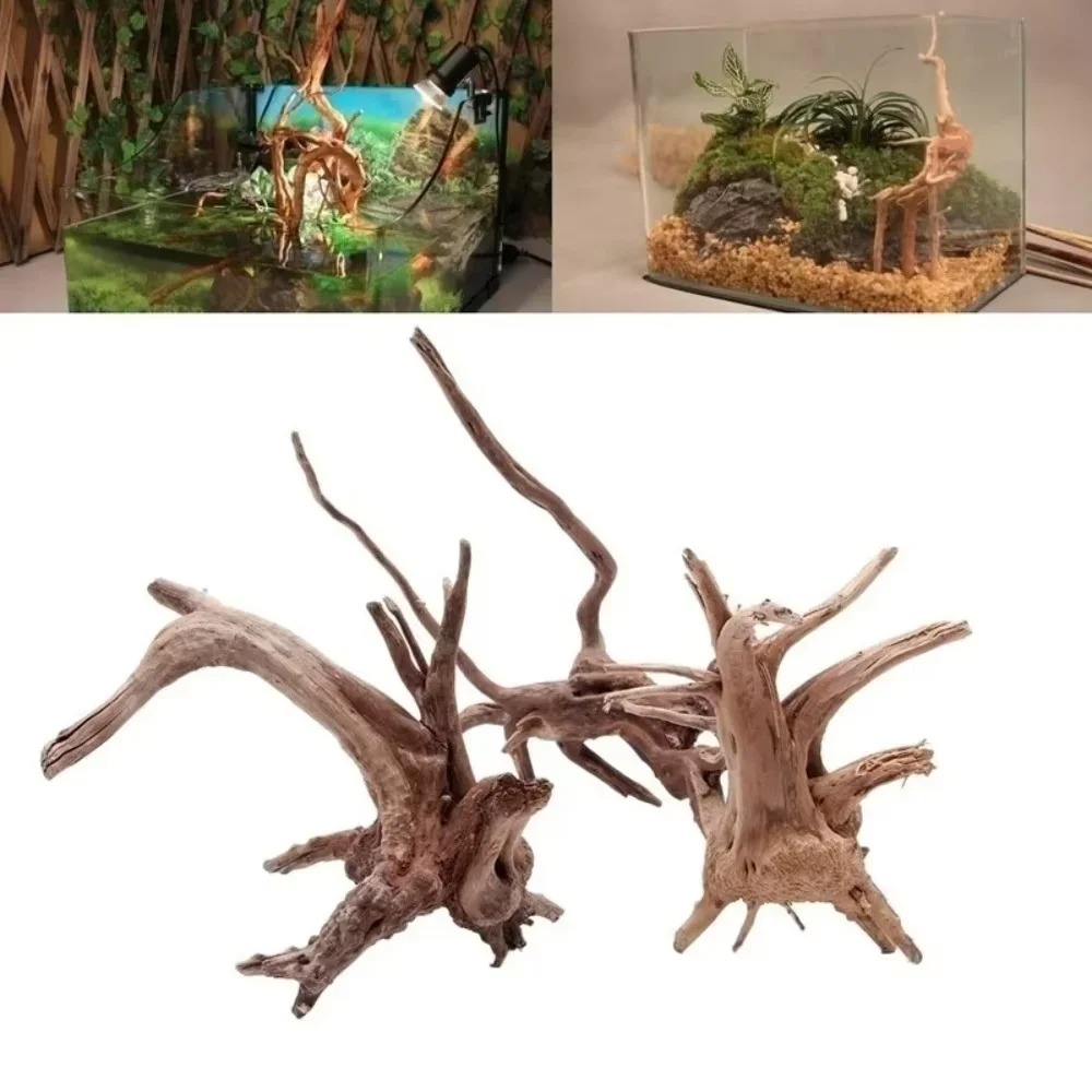 Natürliches Treibholz-Aquarium – Aquarium Plant Substrate Bewertung und Preis