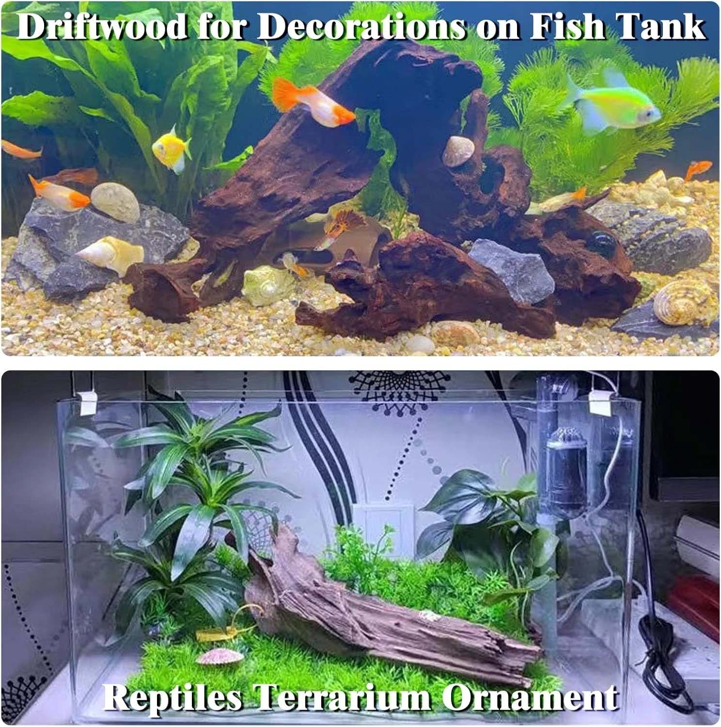 15-20CM 1 Stück Natürliches Tr – Aquarium Plant Substrate Bewertung und Preis