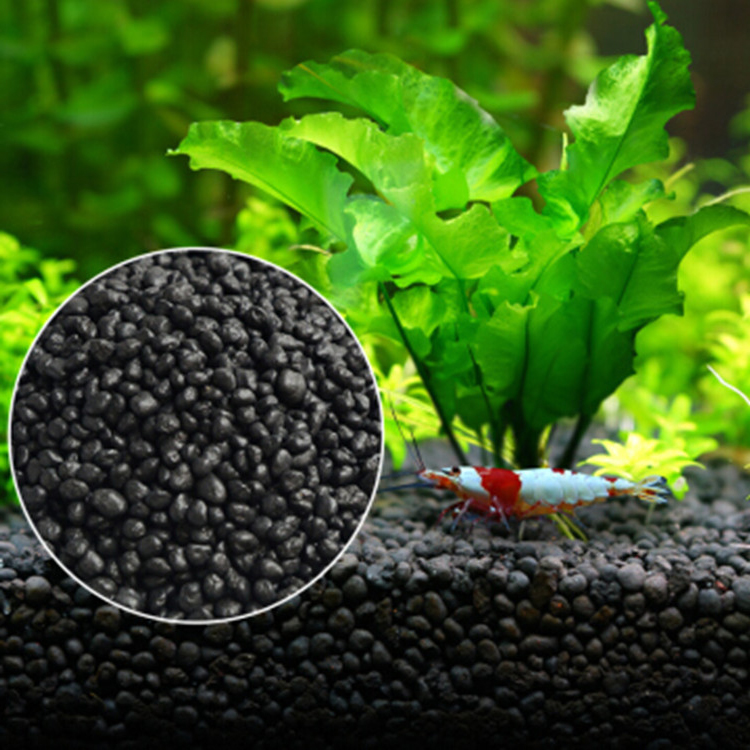 Aquarium Pflanzen Samen Boden  – Aquarium Plant Substrate Bewertung und Preis