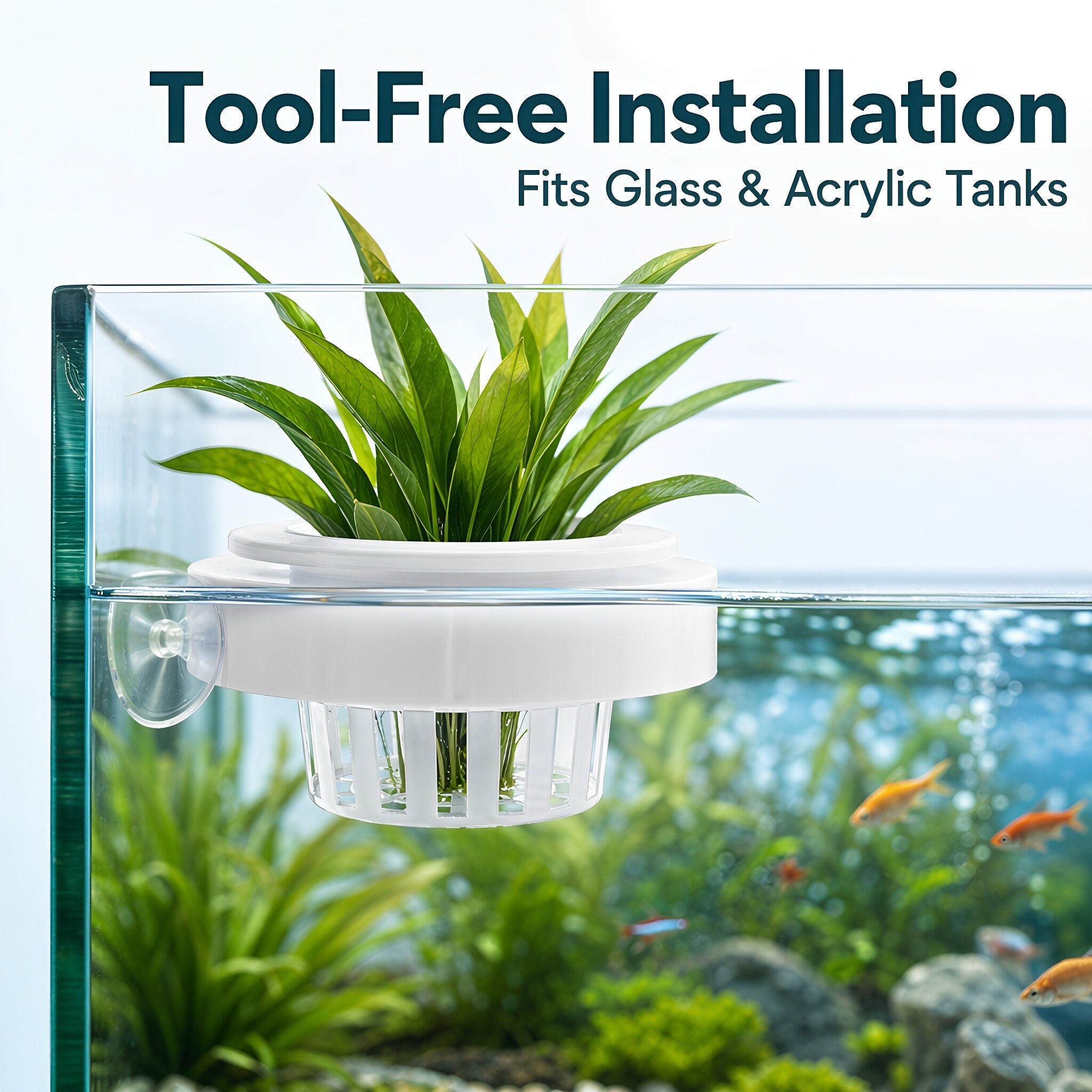 4 Stück schwimmende Aquarium-P – Planted Tank Bewertung und Preis