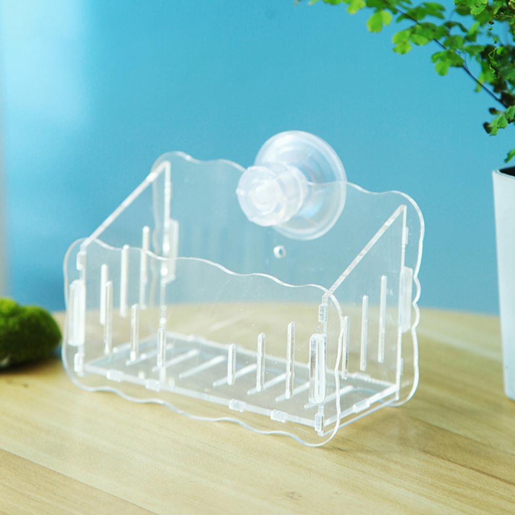 Pflanzenständer mit Saugnapf,  – Plant Aquarium Pot Bewertung und Preis
