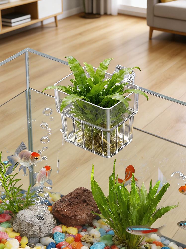 Transparenter Aquarien-Pflanze – Plant Aquarium Pot Bewertung und Preis