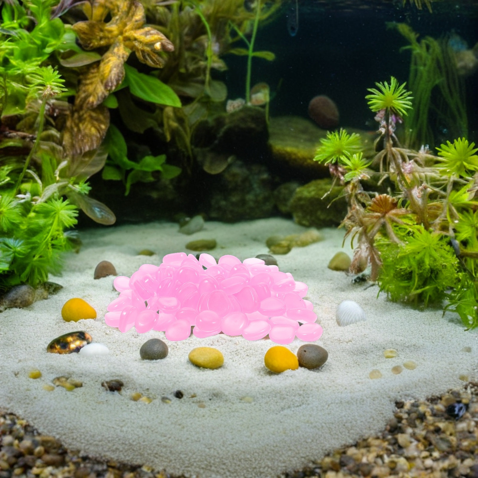 Leuchtende Harzsteine für Aqua – Plant Aquarium Pot Bewertung und Preis