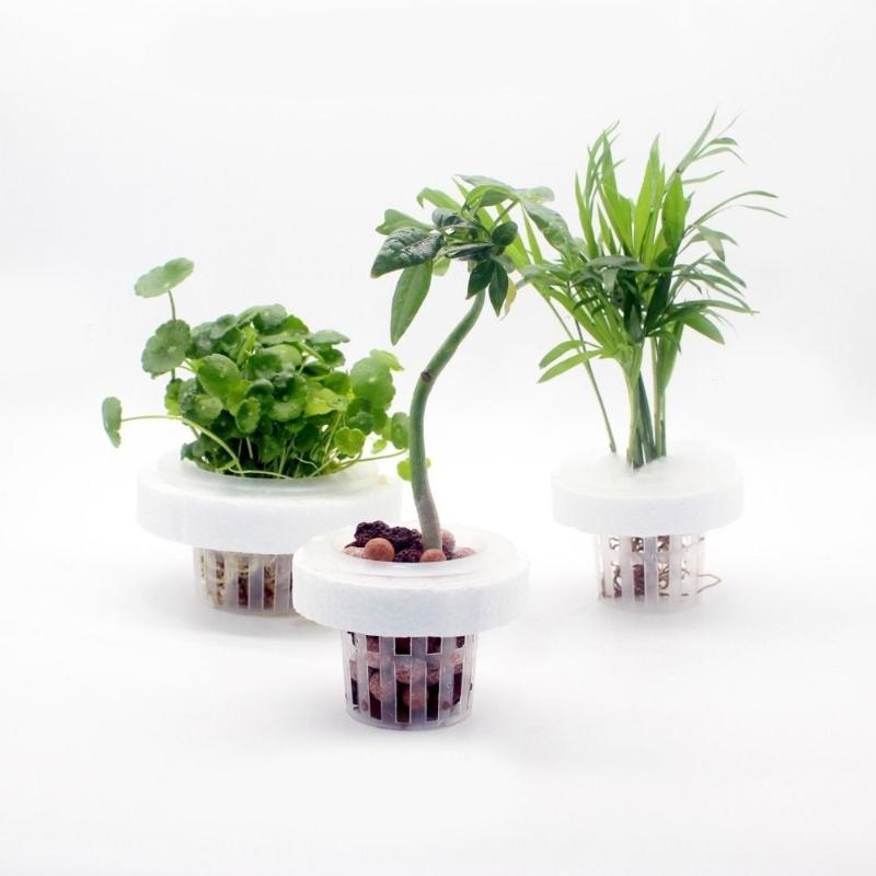 Schwimmender Pflanzenkorb für  – Plant Aquarium Pot Bewertung und Preis