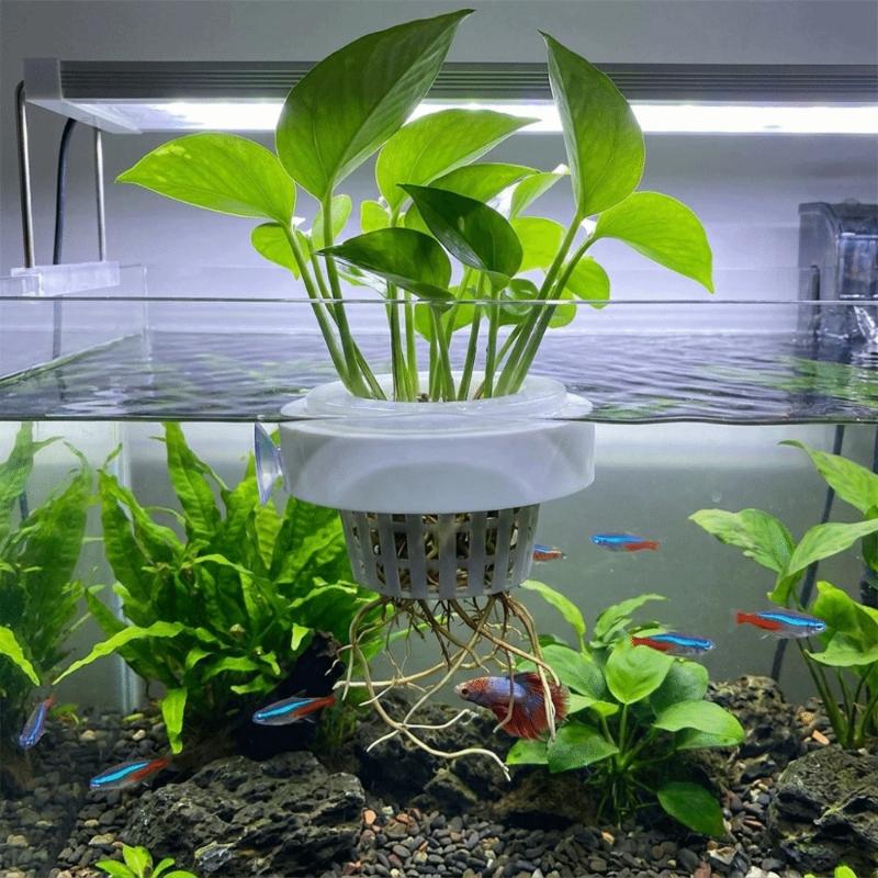 Schwimmender Pflanzenkorb für  – Plant Aquarium Pot Bewertung und Preis