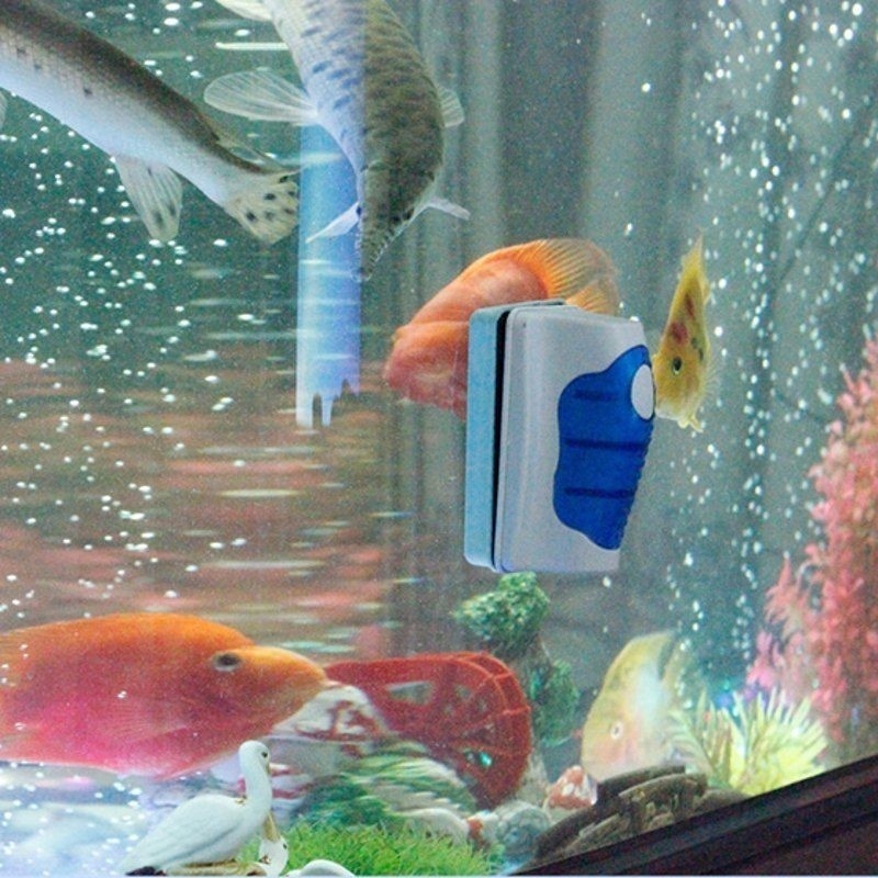 Aquarium-Glasschaber, schwimme – Planted Aquarium Cleaning Bewertung und Preis