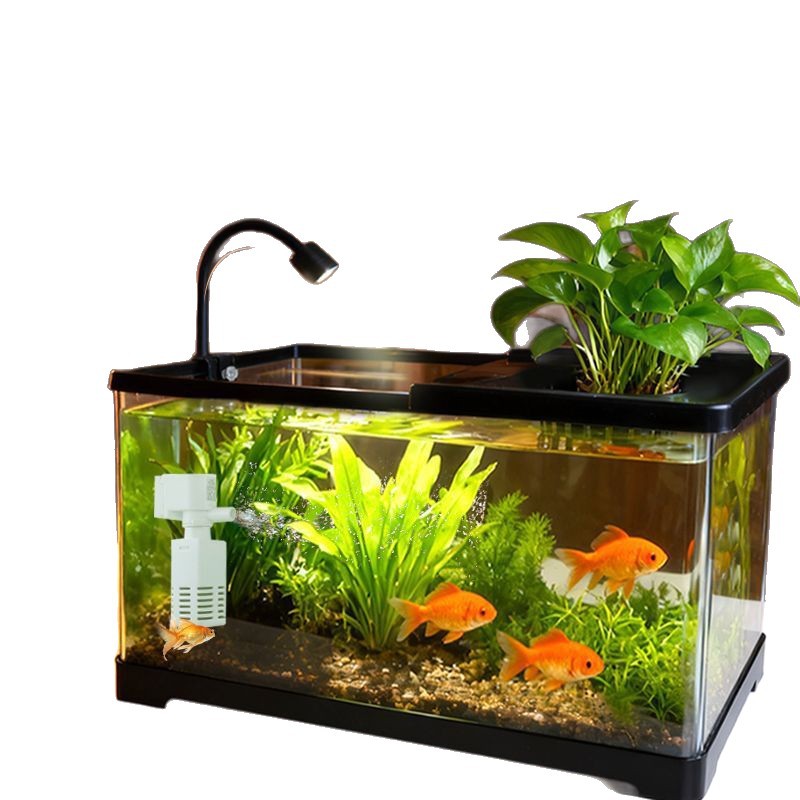 Aquarium für das Wohnzimmer mi – Live Plant Aquarium Bewertung und Preis