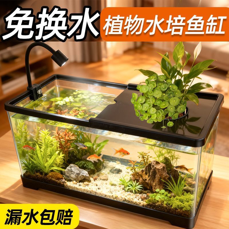 Aquarium für das Wohnzimmer mi – Live Plant Aquarium Bewertung und Preis