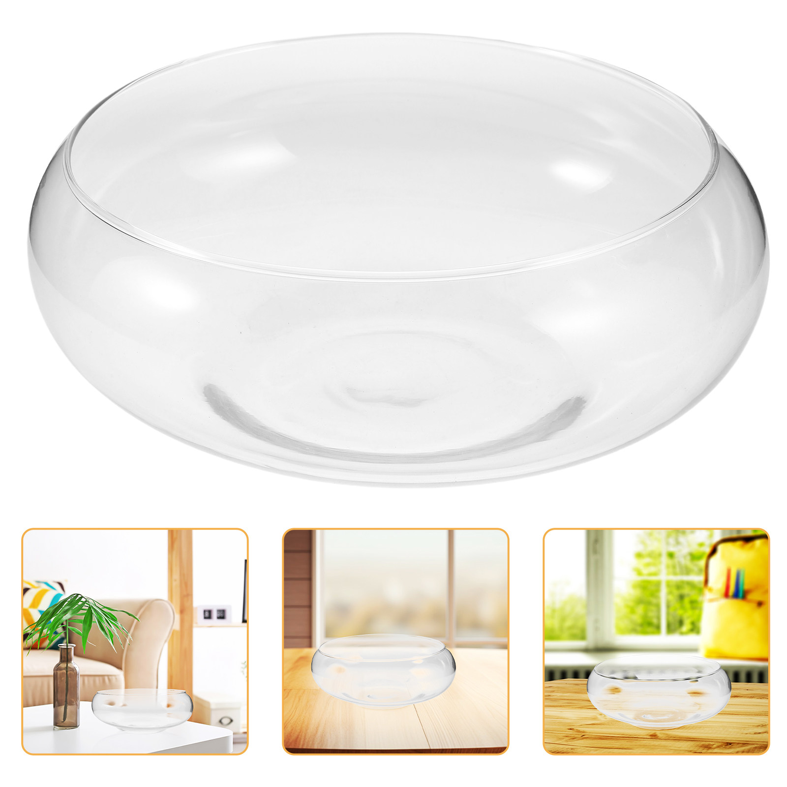Glas-Hydrokultur-Pflanzschale  – Planted Tank Bewertung und Preis