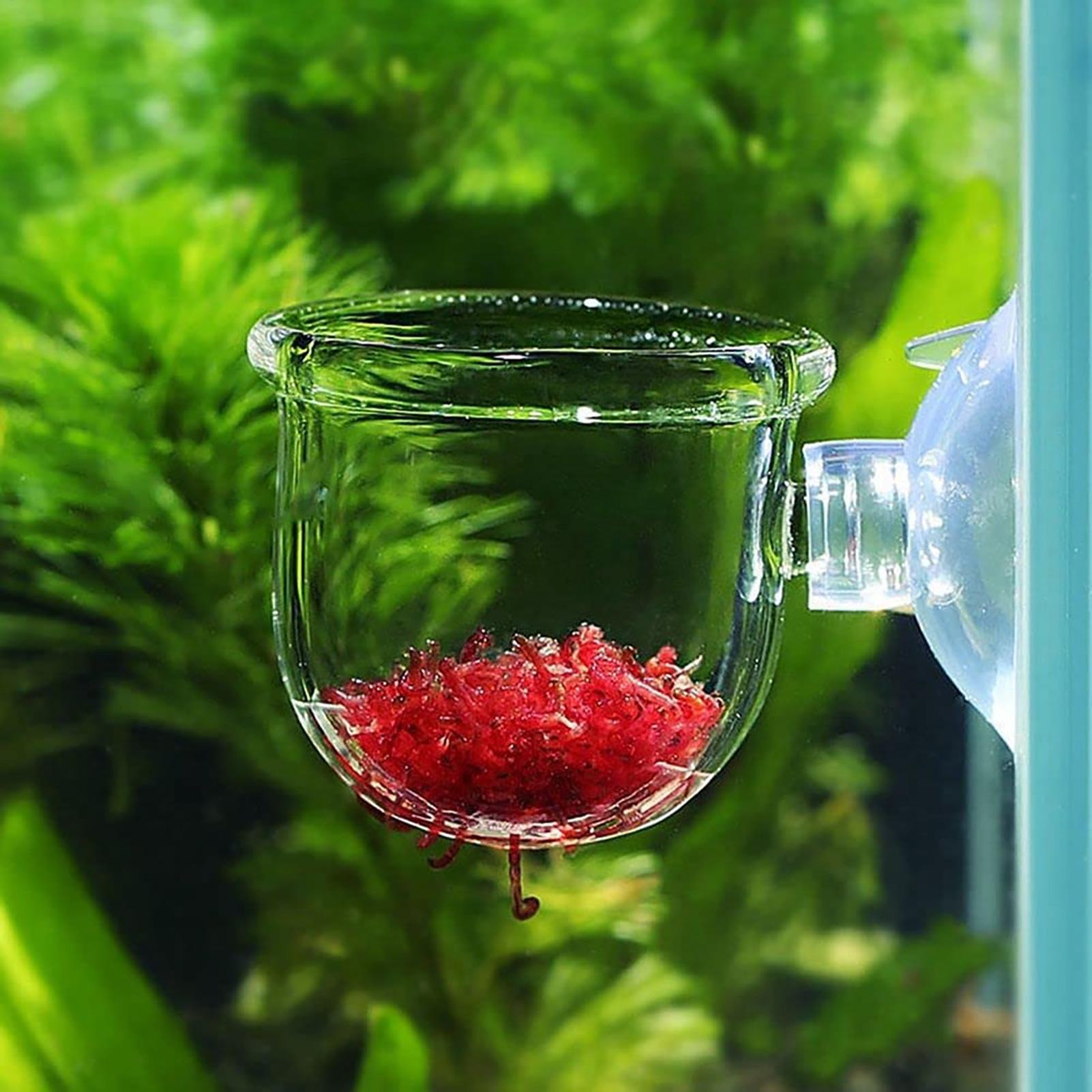 Acryl-Aquarium-Pflanzentopf, G – Plant Aquarium Pot Bewertung und Preis