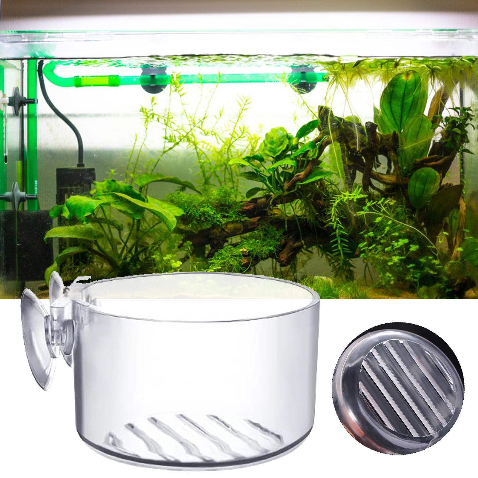Acryl-Aquarium-Pflanzentopf, G – Plant Aquarium Pot Bewertung und Preis